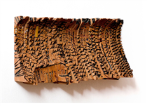 Leopard's Paw Prints and Other Stories - El Anatsui