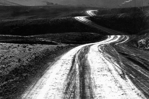 Roads and Trees - Abbas Kiarostami