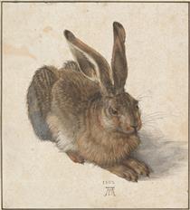 Young Hare - Albrecht Dürer