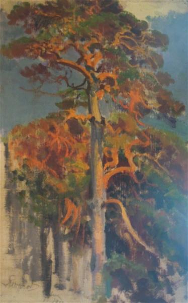 Pines, 1912 - Leon Wyczółkowski