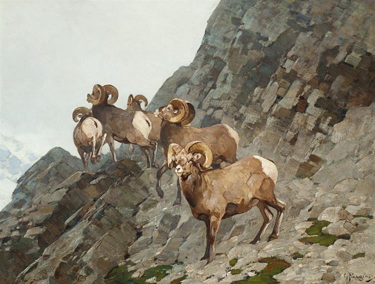 Bighorn Sheep - Carl Rungius