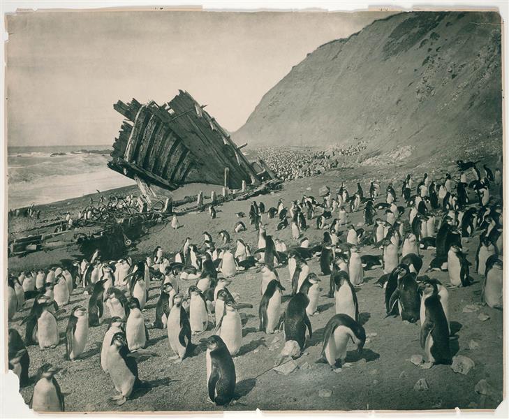 Wreck of the 'Gratitude', Macquarie Island, 1911 - Frank Hurley