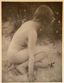 Sand and Wild Roses - Alice Boughton