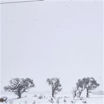 These snowy days - Esmaeil Rezaei