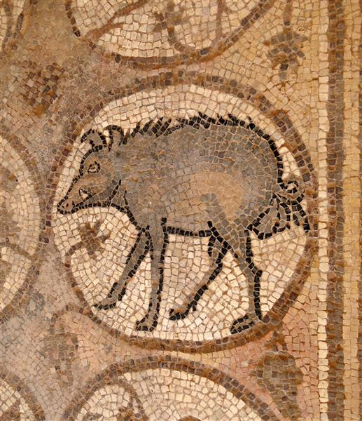 Мозаїка дикого кабана на підлозі північного проходу візантійської церкви Петри, c.450 - c.550 - Візантійські Мозіїки