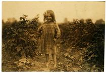 Laura Petty, a 6 Year Old Berry Picker on Jenkins Farm, Rock Creek, Maryland, 1909 - Lewis Hine