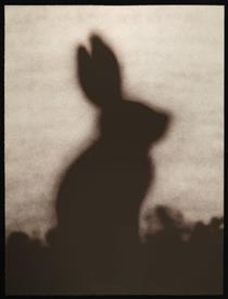 Rabbit - Edward Ruscha