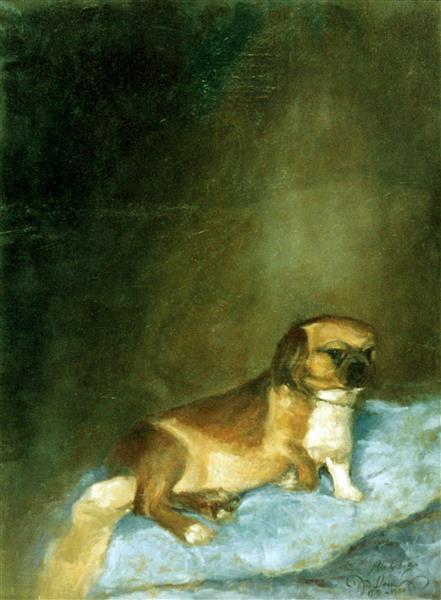Portrait of dog, 1984 - Алехандро Кабеза