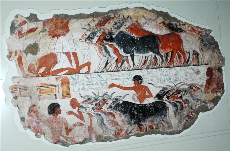Viewing The Produce of the Estates, or The Presentation of the Bovine Won, Nebamun's Tomb, c.1550 - c.1295 BC - Ancient Egypt