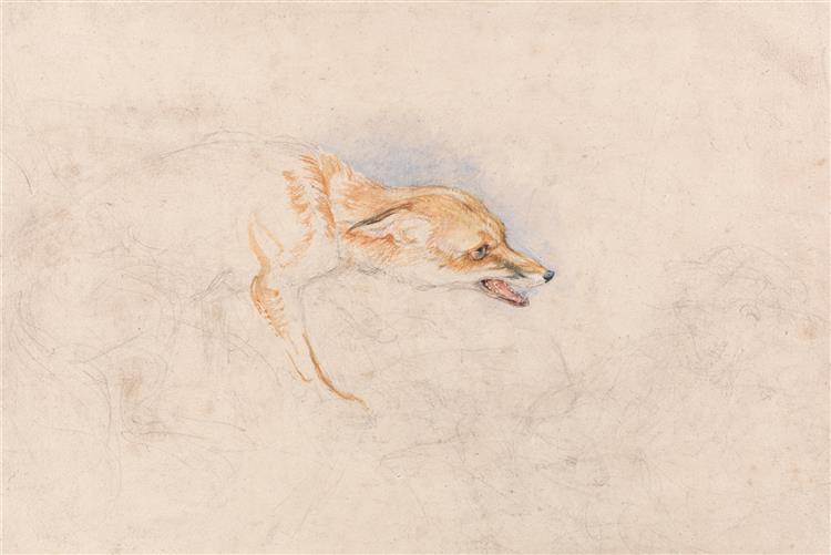 Study of a Crouching Fox, Facing Right, c.1825 - Джон Фредерик Льюис