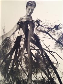 The Walking Tree - Maurice Tabard