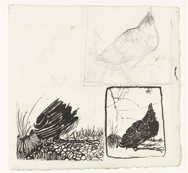 Sketches of a crow looking up, 1920 - Jan Mankes