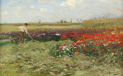 Blooming poppy field - Hugo Mühlig