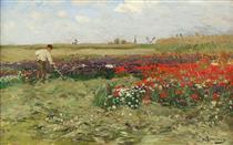 Blooming poppy field - Hugo Mühlig