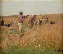 Harvest field - Hugo Mühlig