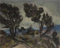 Trees on Paarl Mountain, 1955 - David Botha