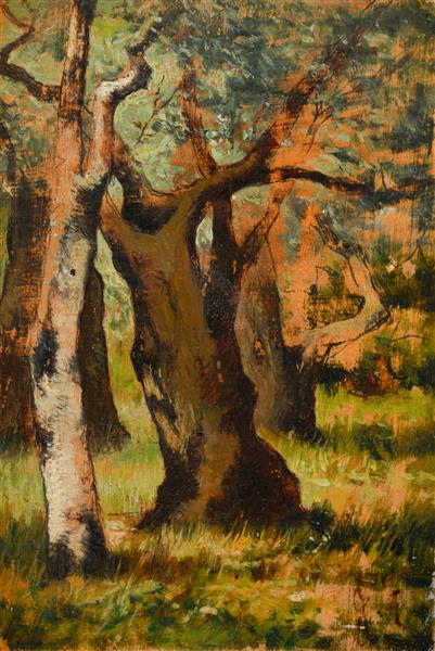 Sketch of the holm oak, c.1890 - 1900 - Джованні Фатторі
