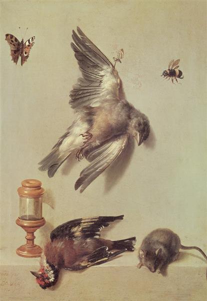 Still life of dead birds and a mouse, 1712 - Jean-Baptiste Oudry