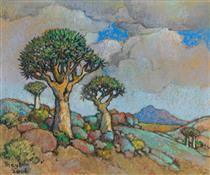 Quiver Trees - DinksFãStan Private Collection - Conrad  Theys