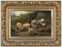 Sheep and Lambs - Arthur Fitzwilliam Tait