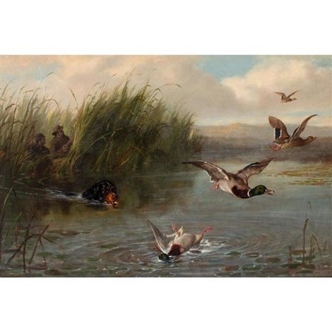 Duck Shooting, 1874 - Arthur Fitzwilliam Tait