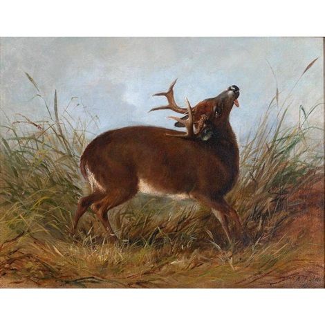 The Wounded Stag, 1852 - Arthur Fitzwilliam Tait