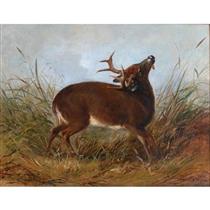 The Wounded Stag - Arthur Fitzwilliam Tait