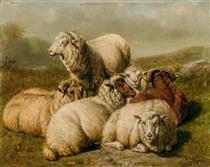 Sheep on a Hillside - Arthur Fitzwilliam Tait
