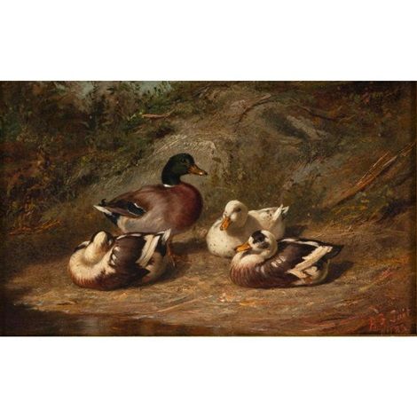 Ducks, 1883 - Arthur Fitzwilliam Tait