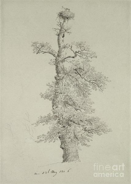 Ancient Oak Tree with a Storks Nest - 弗里德里希