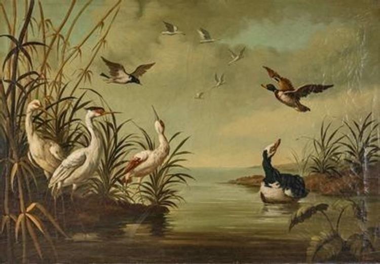 Swans, ducks and herons - Jean-Baptiste Oudry