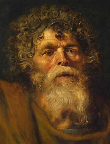 Head of An Old Man - Pierre Paul Rubens