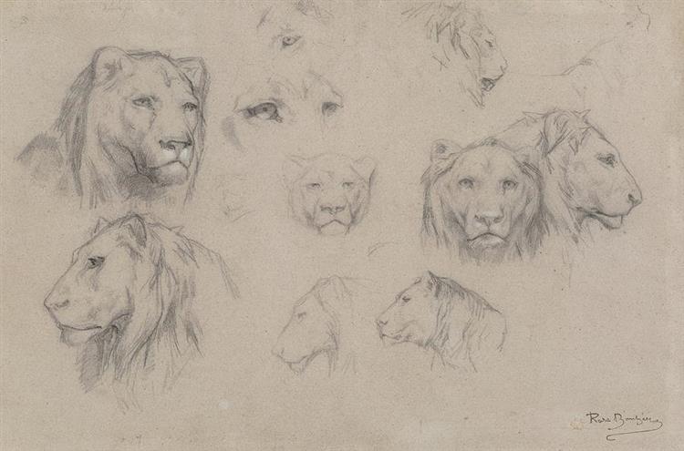 Study of Heads of Lions and Lionesses - Rosa Bonheur