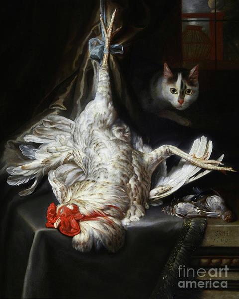 Still Life with a Dead Cockerel and a Cat - Samuel van Hoogstraten