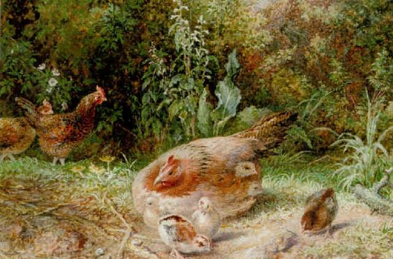 A mother hen with her brood - George Hickin