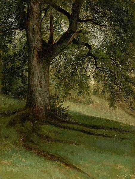 Tree study - Georg Heinrich Crola