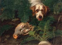 Clumber Spaniel Finding Dead Partridge - George Earl