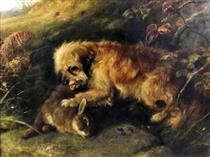 Study of a Terrier with a rabbit - George Earl