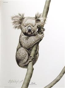 Koala Bear - Guy Joseph Coheleach