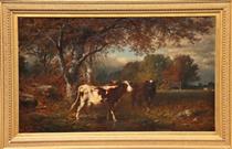 Cows in Pasture - James McDougal Hart