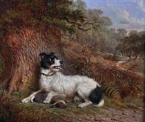 A Dog under a Tree with a Rabbit - Martin Theodore Ward