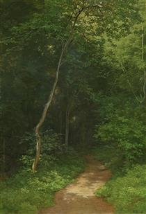 Waldweg Forest Track - Robert Zund