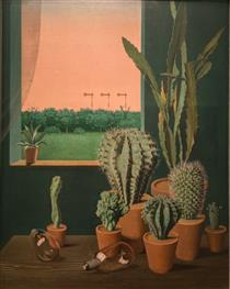Cacti and semaphores - Georg Scholz