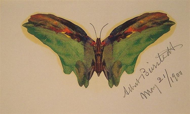 Butterfly, 1900 - Альберт Бирштадт