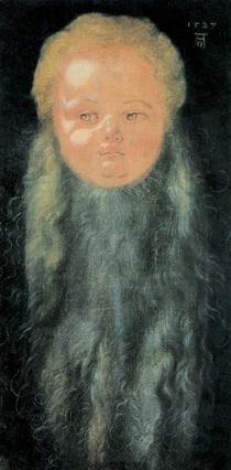 Портрет мальчика с длинной бородой - Альбрехт Дюрер