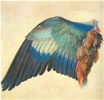 Wing of a Blue Roller - Alberto Durero