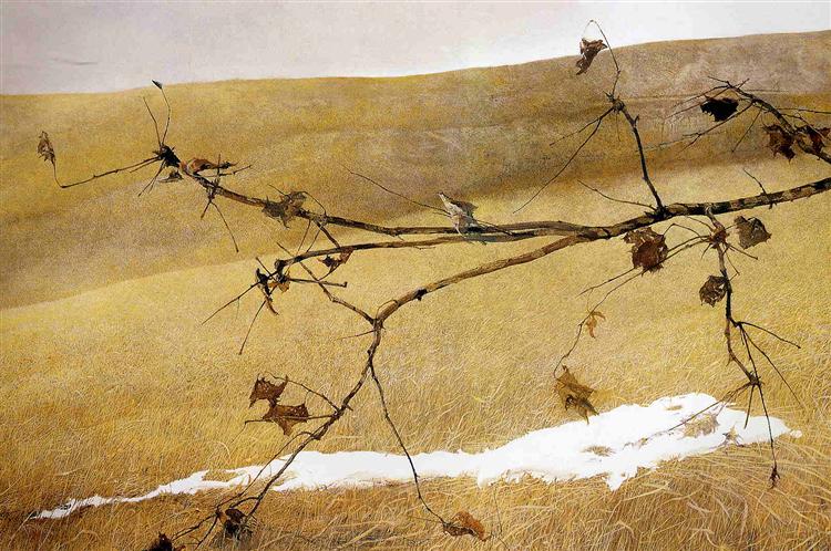 Long Limb - Andrew Wyeth