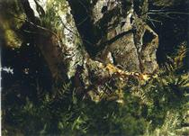 Virgin Birch - Andrew Wyeth