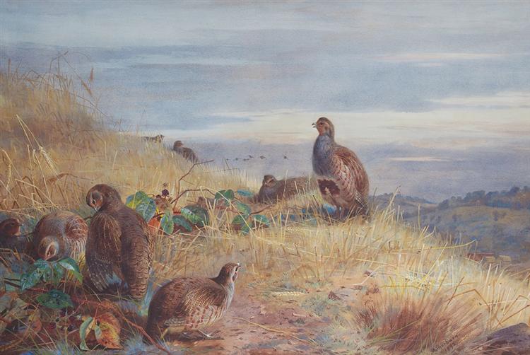 The Covey at Daybreak - Archibald Thorburn
