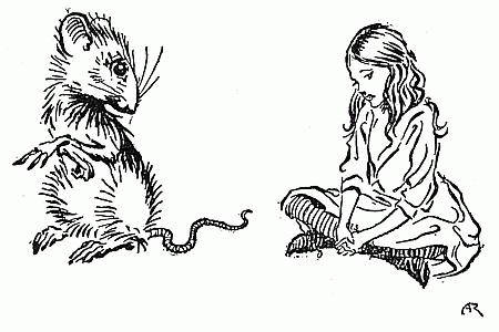 'Mine is a long and sad tale!' said the Mouse, turning to Alice and sighing - Arthur Rackham